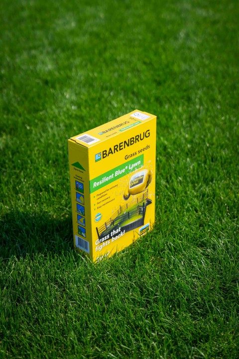 Resilient Blue Lawn 6.jpg